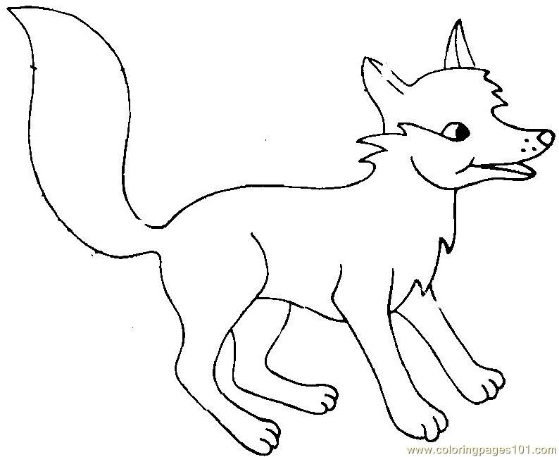 baby arctic fox coloring pages cute - photo #19