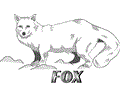 Foxes