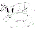 Mural bat eared fox