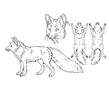 Red fox ref sheet