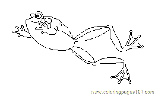 Coloring Frog5