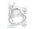 23 Frog 3