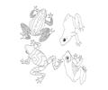 Coloring Frogs