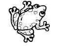 Frog Coloring Page 03