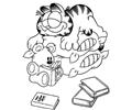 Garfield 11