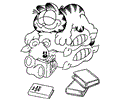 Garfield1