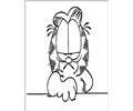 Garfield Surly