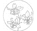 Circle 25