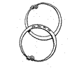Circle 6