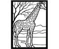Color 4