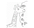 Color Giraffe2