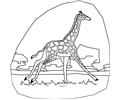 Giraffe1