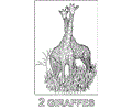 Giraffes