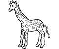 Giraffe Coloring Page 03