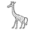 Giraffe Coloring Page 12