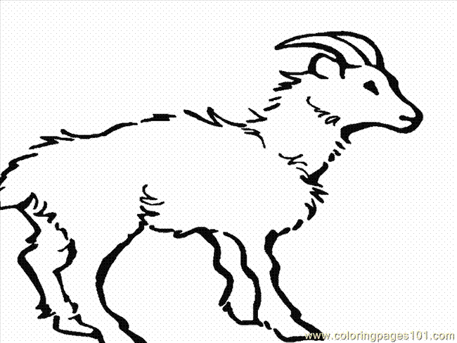 Coloring Pages Goat Coloring Page 12 (Animals > Goat) - free printable