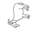 Color Goat2