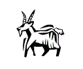 Mountain goat