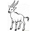 Goat ready