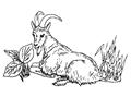 Goat lay on tree