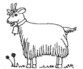Goat Coloring Page 15