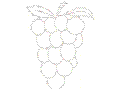 27 Grapes