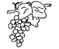 51 Grapes