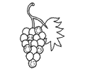 Foodgrapes