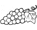 Grape 15