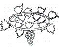 Grape 21