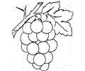 Grape 2