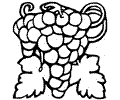 Grape 3