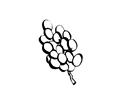 Ures Pages Photo Grapes P9551