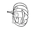 Jack003