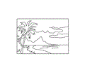 Beach coconut