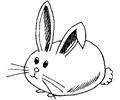 Bunny 10