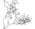 Bunny & Eggs 2