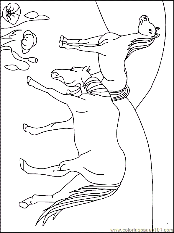 Horse Coloring Page 24