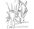 Horse Coloring Page 09