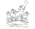 Horse Coloring Page 10