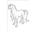 Horseland 12