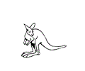 Kangaroo