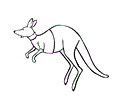 Kangaroo