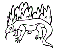 Komodos