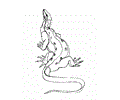 Komodos