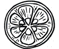 Lemon 2