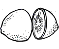 Lemon 3
