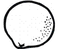 Lemon 6