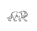 lion