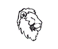 Loin